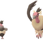 バルチャイ、バルジーナ