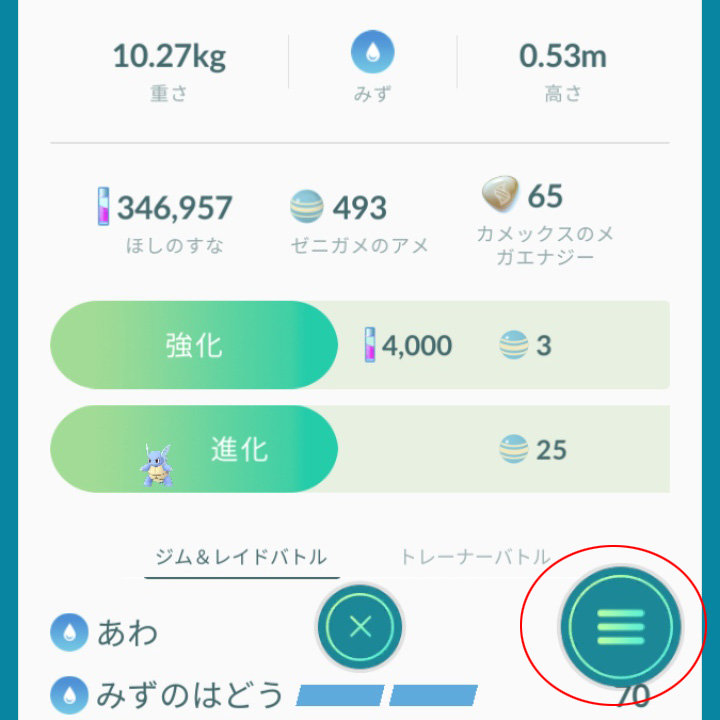 ポケモンの詳細
