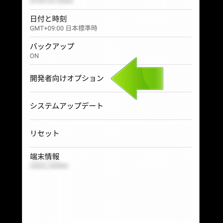 開発者向けオプション