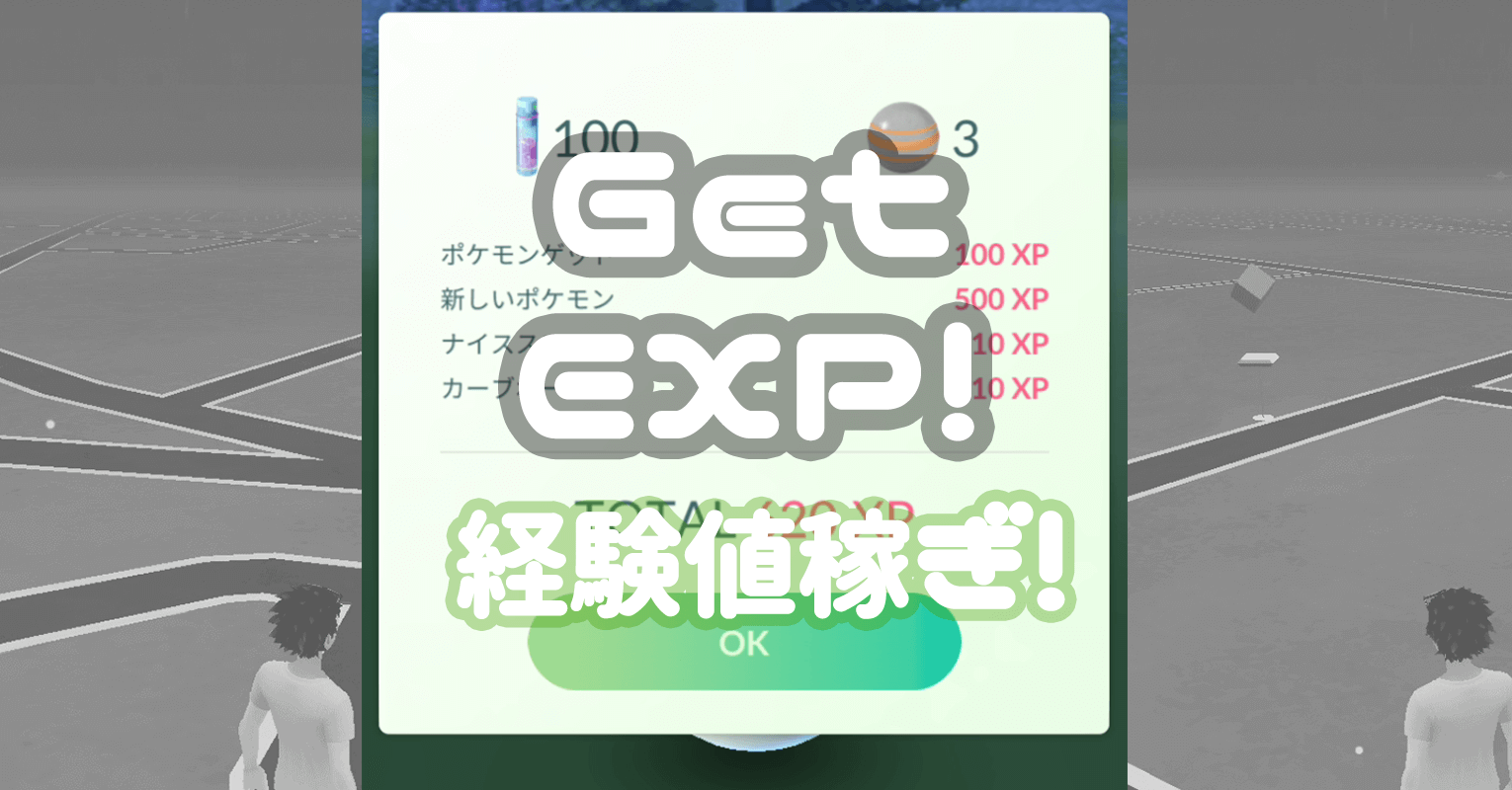 稼ぎ 経験値アメ 【ポケモン剣盾】けいけんアメの効率的な入手方法と効果【ソードシールド】｜ゲームエイト