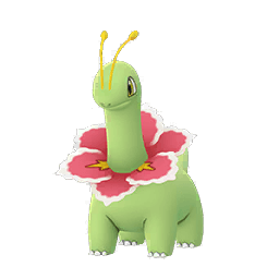 メガニウム♀