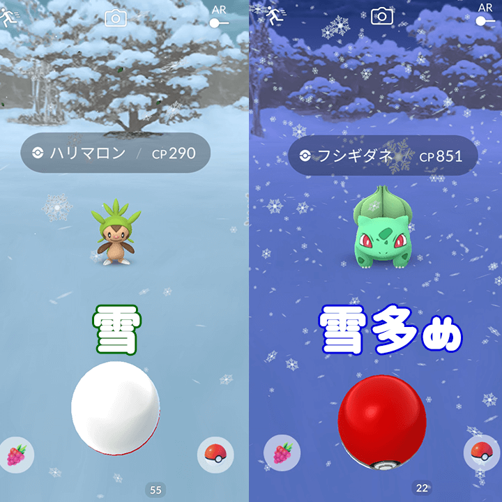 雪の比較
